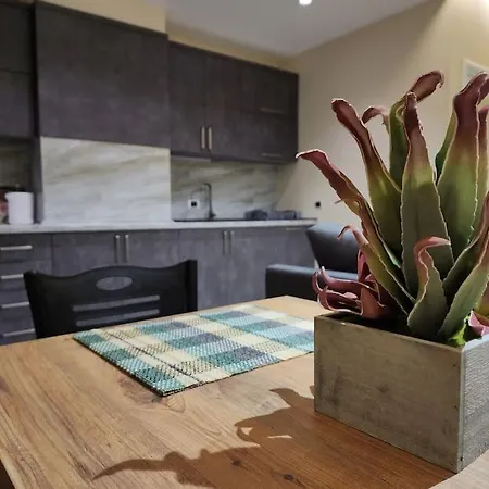 Apartment-new Bazar Apartment Tirana